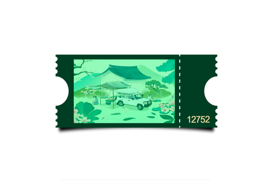 Boleto Ilustracion N 12752