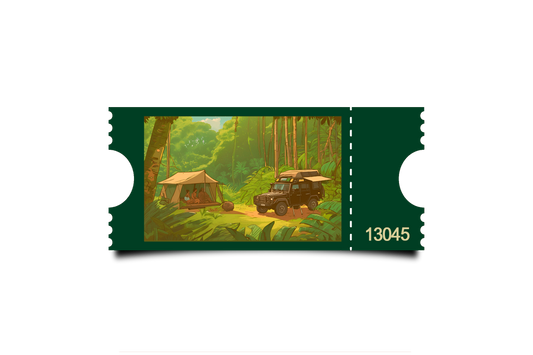 Boleto Ilustracion N 13045