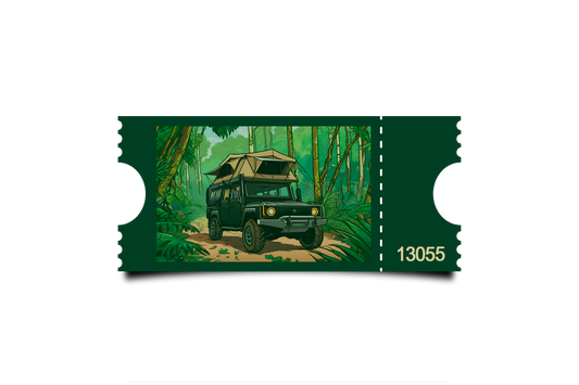 Boleto Ilustracion N 13055