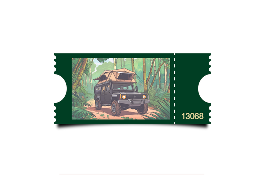 Boleto Ilustracion N 13068