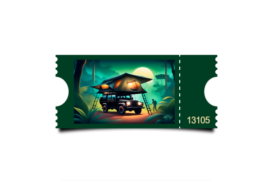 Boleto Ilustracion N 13105