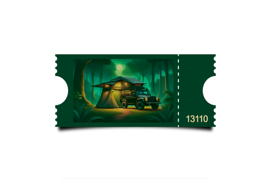 Boleto Ilustracion N 13110