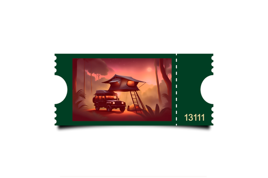 Boleto Ilustracion N 13111
