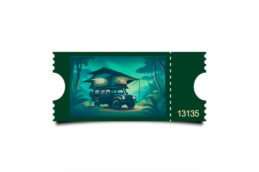 Boleto Ilustracion N 13135