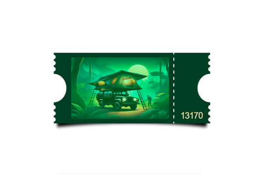 Boleto Ilustracion N 13170