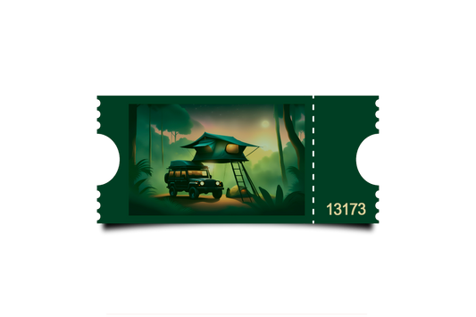 Boleto Ilustracion N 13173