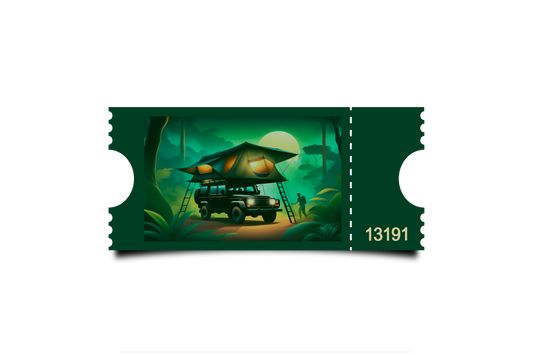 Boleto Ilustracion N 13191