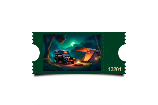 Boleto Ilustracion N 13201