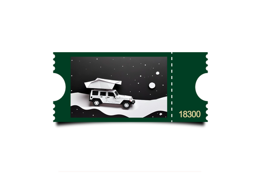 Boleto Ilustracion N 18300