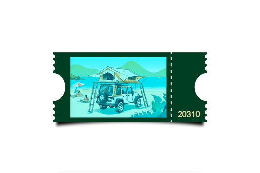 Boleto Ilustracion N 20310