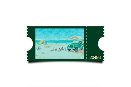 Boleto Ilustracion N 20498