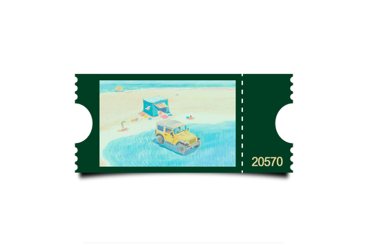 Boleto Ilustracion N 20570