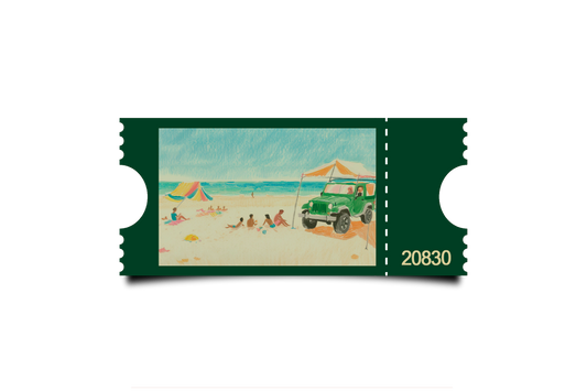 Boleto Ilustracion N 20830