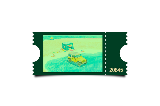 Boleto Ilustracion N 20845