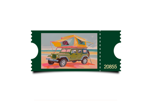 Boleto Ilustracion N 20855