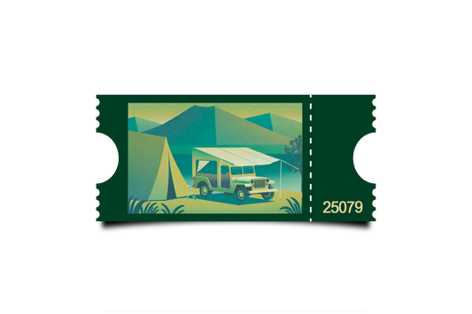 Boleto Ilustracion N 25079