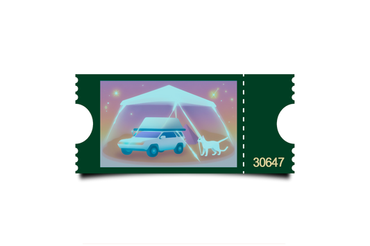 Boleto Ilustración N 30647