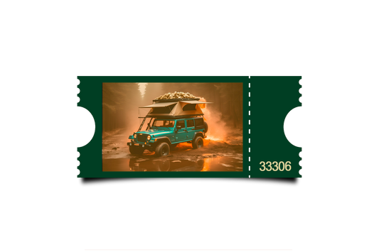 Boleto Ilustración N 33306